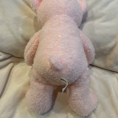 2024年　くま　ぬいぐるみの画像