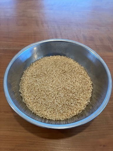 令和7年産　ヒノヒカリ　玄米　10kg