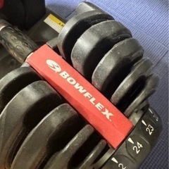 BOWFLEX 可変式ダンベル 24キロ　トレーニングベンチセットの画像
