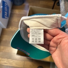 はやぶさ帽子の画像