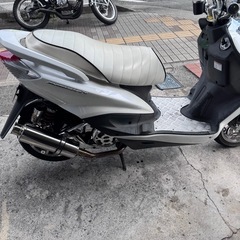 シグナスの画像