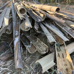 菌ちゃん農法など必要な方へ　枯竹　枯枝　などの画像