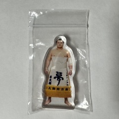 大相撲ガチャ 栃大海 アクリルブロック
の画像