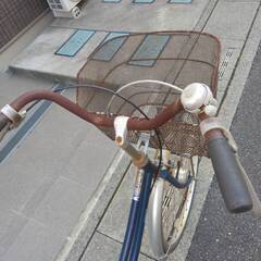 【中古】大日産業　ココナッツ　自転車　軽快車　ブルー　変速なし　26型の画像