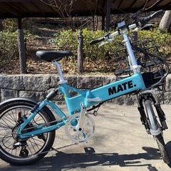 MATE City Mystic Beetle 純正オプション多数の画像