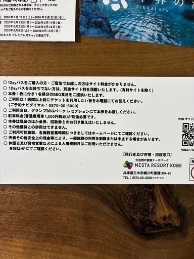 ネスタリゾート神戸1デイパス