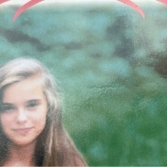 アルバム単行本デビット
の画像