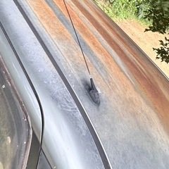 タント売ります。の画像