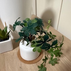 フェイクグリーン3つセットの画像