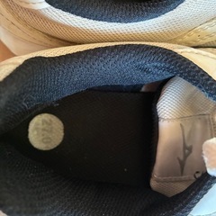 清流高校　体育館シューズ　２７㎝の画像