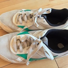 清流高校　体育館シューズ　２７㎝の画像