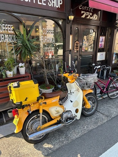 受け終了　決定しました　 リトルカブ黄