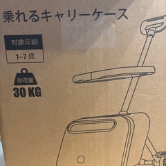 スーツケース 乗れる 機内持ち込み 軽量 30L キッズ こども 旅行の画像