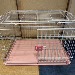 極美品 ドックゲージの画像