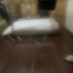 ジャンク品　東芝テレビ49インチの画像