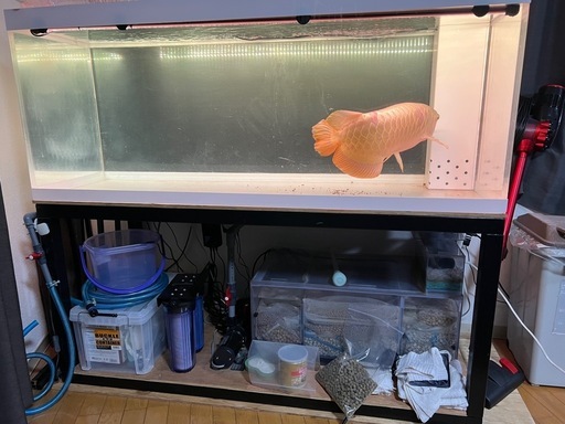 150×60×60オーバーフロー水槽