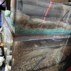 150×60×60オーバーフロー水槽の画像