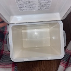 ミニクーラーボックスの画像