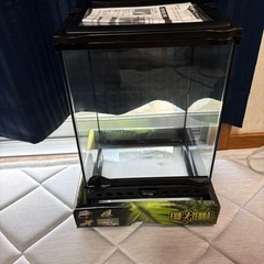 グラステラリウム21.5×21.5×33の画像