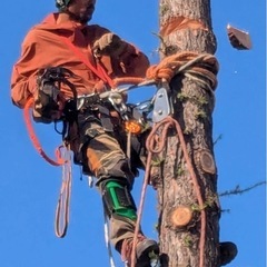樹木の伐採、剪定、特殊伐採、草刈りやらせて下さい。
