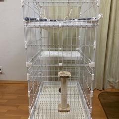 【新品未使用】キャットゲージ　2段の画像