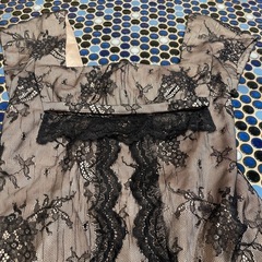 レース　ミニワンピース　ジルスチュアート　ドレスの画像