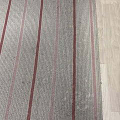 ダイニング用のカーペットをお譲りいたします（取りに来ていただける方を希望します）の画像