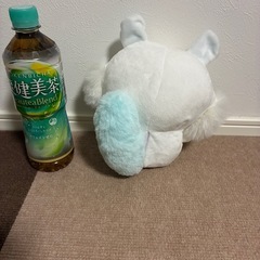 🉐　喋るモモンガの画像