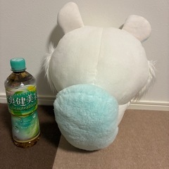 🉐　モモンガ①の画像