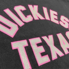 Dickies ロゴ半袖Tシャツの画像