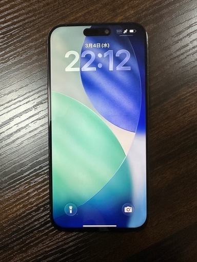 極美品】iPhone 15 Pro Max 256GB バッテリー100% 米国版 (けんけん
