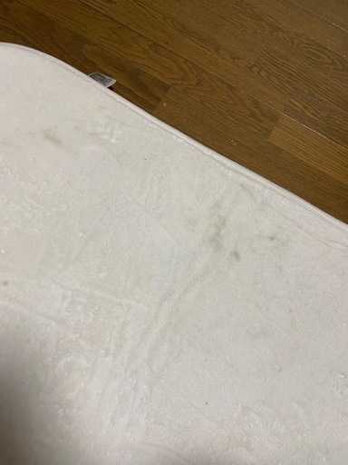 ダニ防止 カーペット ラグ マット ホワイト