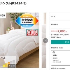 セミダブルベッドセット（一式）＋枕・布団の画像