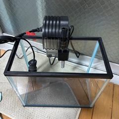 本日限定⑦すぐ使える水槽セットの画像