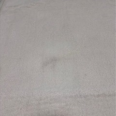 カーペット　洗えるの画像