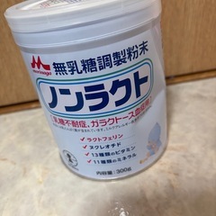 ノンラクト　粉ミルク　300グラムの画像
