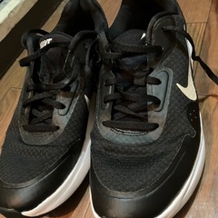 adidasとNIKEの画像