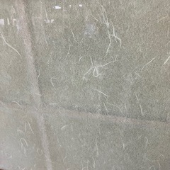 ガラス障子引き戸　2枚組　古民家　リノベーションに　中古品の画像