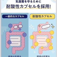 【新品】乳酸菌4.5兆個 BIFIRAL ビフィズス菌 酪酸菌 腸活サプリ 30日分の画像