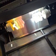 0311 EXOTERRA エキゾテラ トカゲ飼育ケージの画像