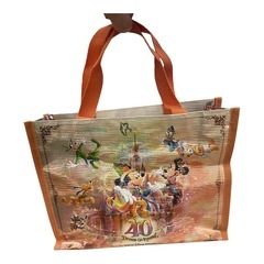 東京ディズニーリゾート 40周年記念 トートバッグ 新品 ★ TDL 限定の画像