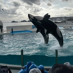 🔰さん大歓迎守谷市マツエク．カール🌸