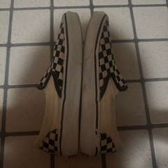 vans スニーカーの画像