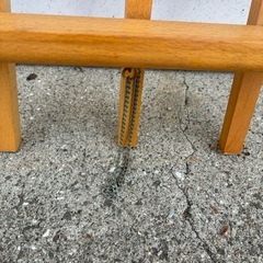 写真立ての画像