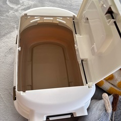 子猫お迎えセットの画像