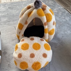 子猫お迎えセットの画像