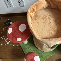 猫ちゃん、爪研ぎの画像