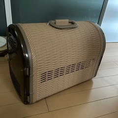 決まりました。の画像