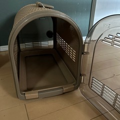 決まりました。の画像