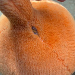 スライムベスの画像